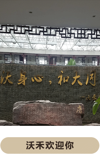 沃禾学校